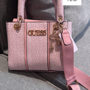 guessv19