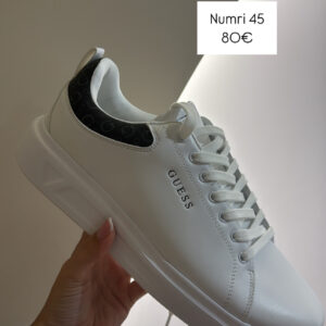 GuessV31